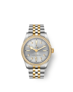 TUDOR Black Bay 36 S&G (#M79653-0006)