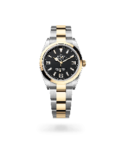 Explorer 36