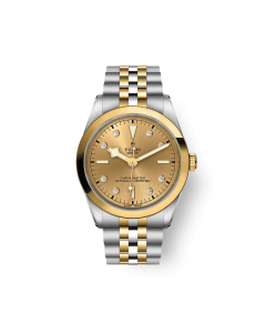 TUDOR Black Bay 36 S&G (#M79643-0008)