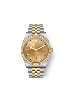 TUDOR Black Bay 36 S&G (#M79653-0007)